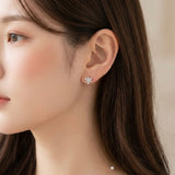 Icy Radiance Earrings