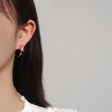 Korean Earrings Hypoallergenic Jewelry Korean Style Lovely Earrings K Fashion